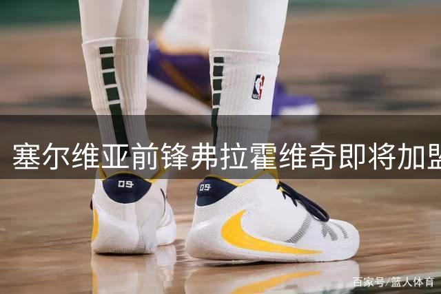 塞尔维亚前锋弗拉霍维奇即将加盟贝西克塔斯